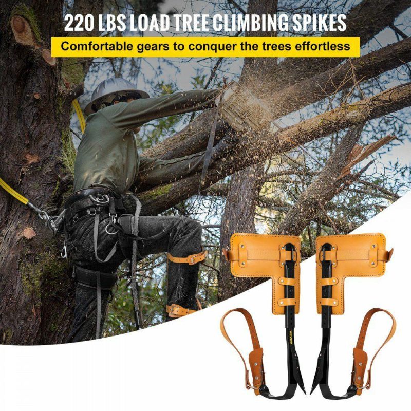 Outdoor Recreation |  Tree Climbing Spikes, 3 in 1 Alloy Steel Adjustable Pole Climbing Spurs, w/ Security Harness and Lanyard, Arborist Equipment for Climbers, Logging, Hunting Observation, Fruit Picking Office Supplies Outdoor Recreation